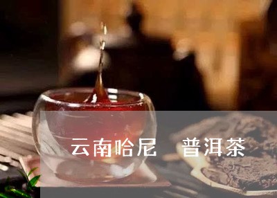 云南哈尼 普洱茶/2023041129583